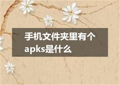手机文件夹里有个apks是什么