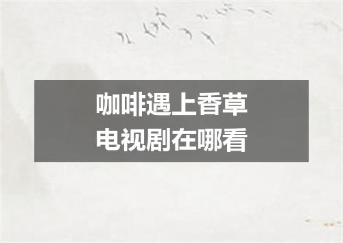 咖啡遇上香草电视剧在哪看