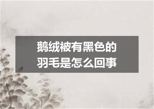 鹅绒被有黑色的羽毛是怎么回事