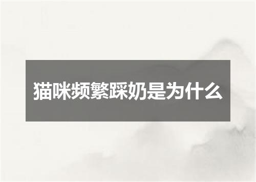 猫咪频繁踩奶是为什么