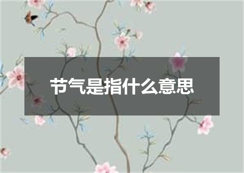 节气是指什么意思