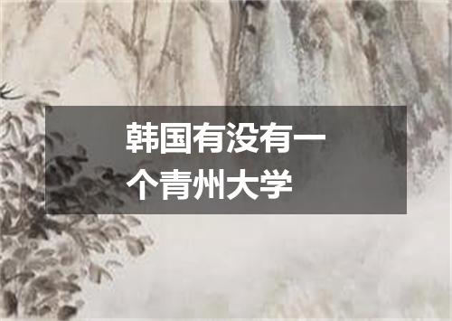 韩国有没有一个青州大学