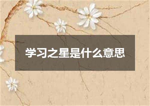 学习之星是什么意思