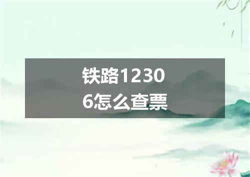 铁路12306怎么查票