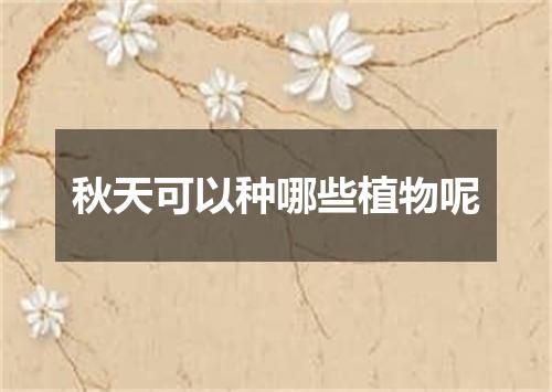 秋天可以种哪些植物呢