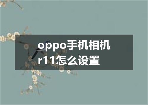 oppo手机相机r11怎么设置