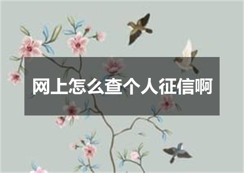 网上怎么查个人征信啊