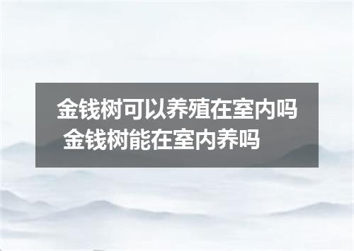 金钱树可以养殖在室内吗 金钱树能在室内养吗
