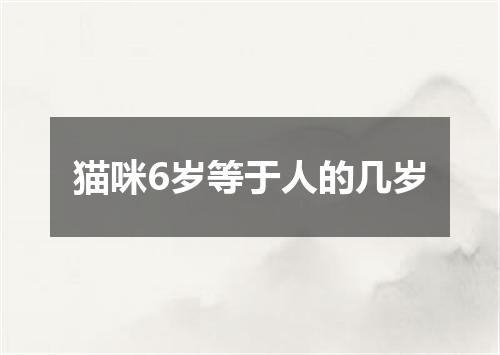 猫咪6岁等于人的几岁