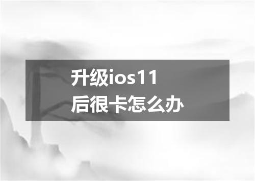 升级ios11后很卡怎么办