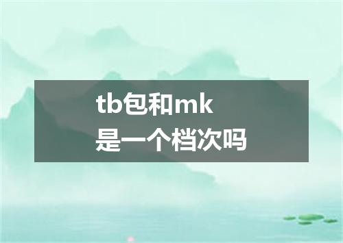 tb包和mk是一个档次吗
