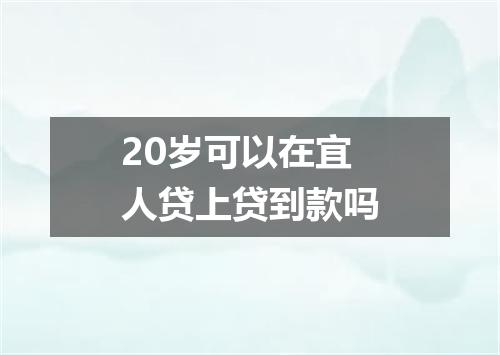 20岁可以在宜人贷上贷到款吗