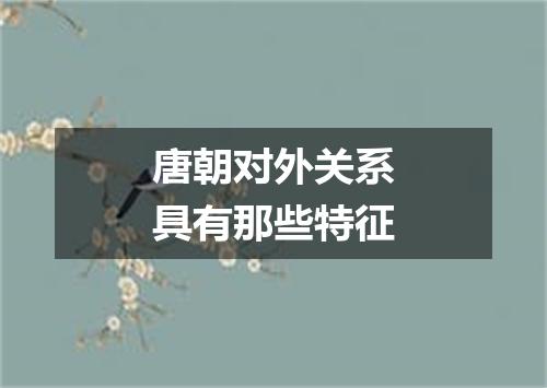 唐朝对外关系具有那些特征