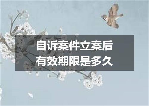 自诉案件立案后有效期限是多久