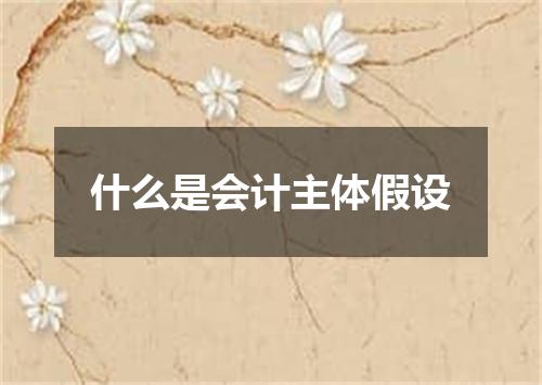 什么是会计主体假设