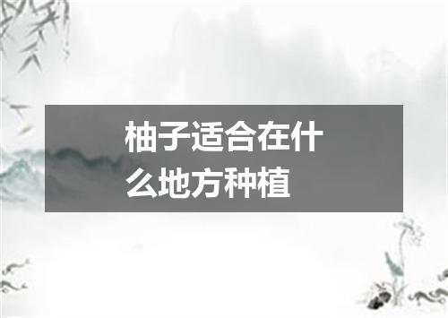 柚子适合在什么地方种植