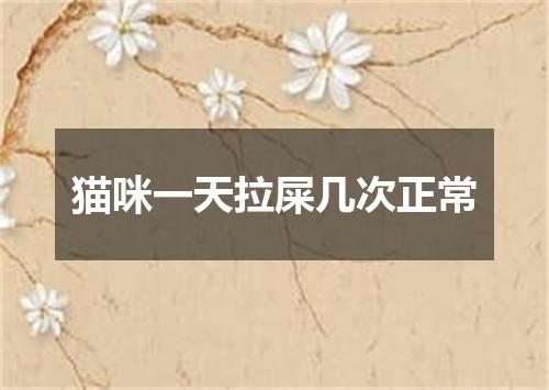 猫咪一天拉屎几次正常