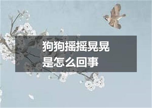 狗狗摇摇晃晃是怎么回事