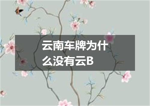 云南车牌为什么没有云B