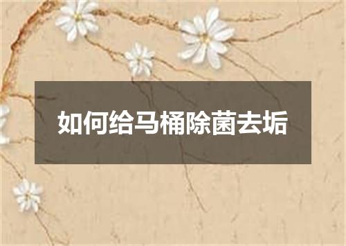 如何给马桶除菌去垢