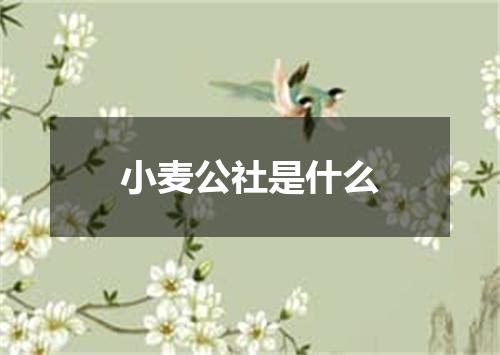 小麦公社是什么