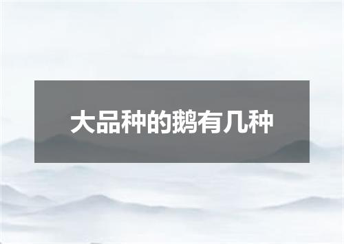 大品种的鹅有几种