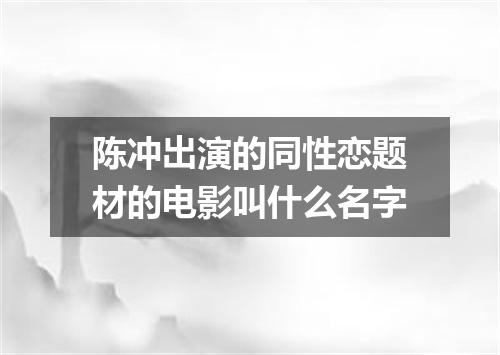 陈冲出演的同性恋题材的电影叫什么名字