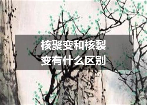 核聚变和核裂变有什么区别