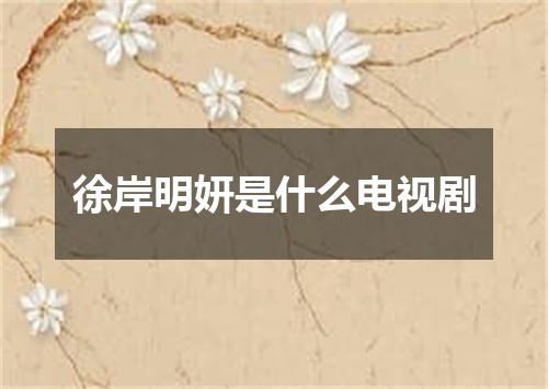 徐岸明妍是什么电视剧