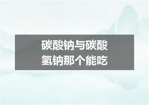 碳酸钠与碳酸氢钠那个能吃