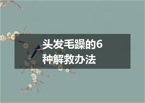 头发毛躁的6种解救办法