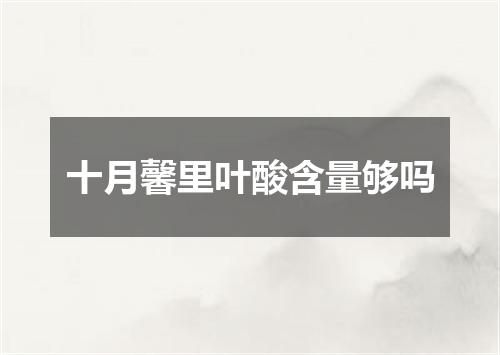 十月馨里叶酸含量够吗