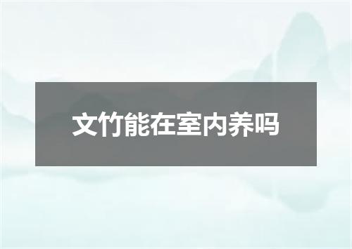 文竹能在室内养吗