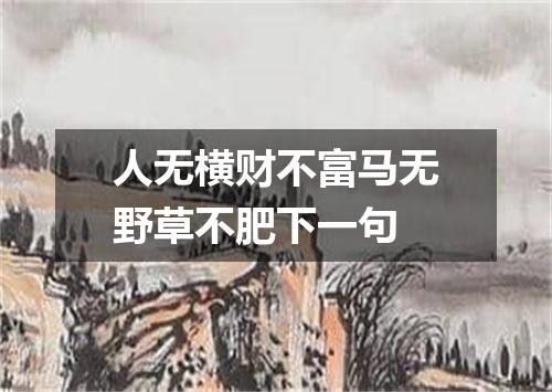 人无横财不富马无野草不肥下一句
