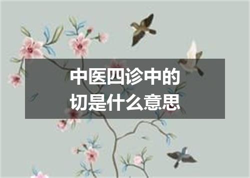 中医四诊中的切是什么意思