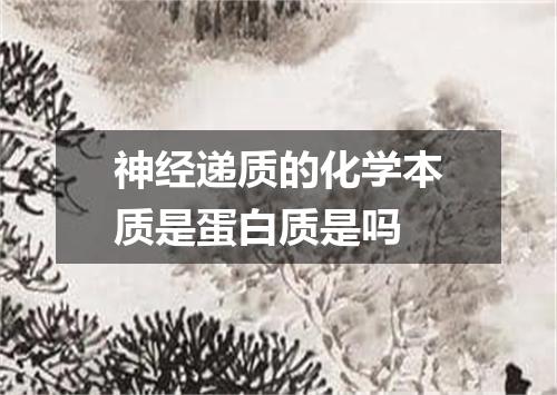 神经递质的化学本质是蛋白质是吗