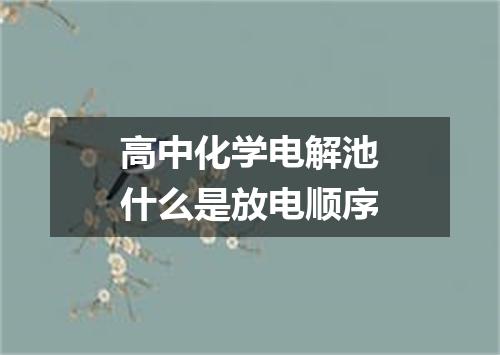 高中化学电解池什么是放电顺序