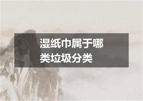 湿纸巾属于哪类垃圾分类