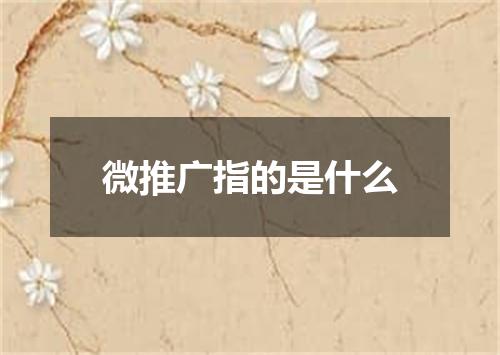 微推广指的是什么