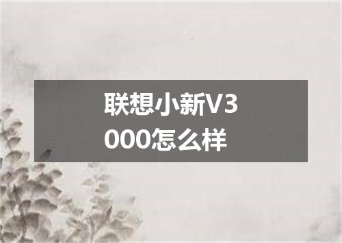 联想小新V3000怎么样