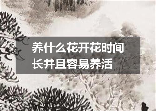 养什么花开花时间长并且容易养活