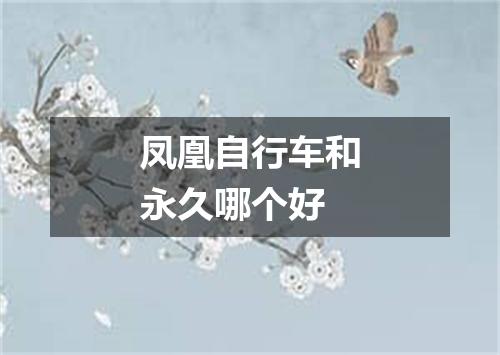 凤凰自行车和永久哪个好