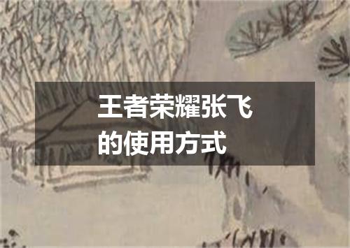 王者荣耀张飞的使用方式