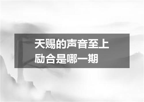 天赐的声音至上励合是哪一期