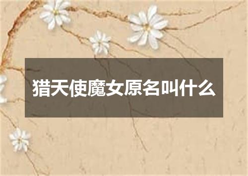 猎天使魔女原名叫什么