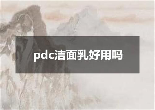 pdc洁面乳好用吗