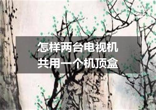 怎样两台电视机共用一个机顶盒