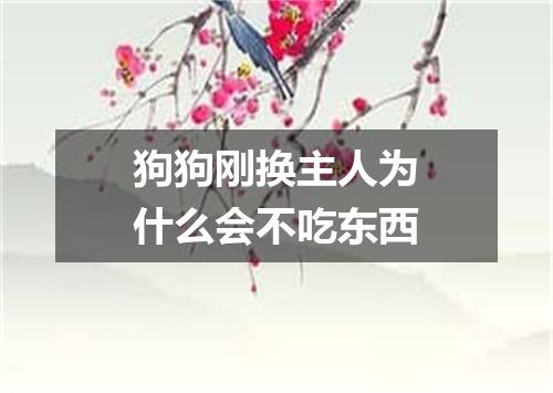 狗狗刚换主人为什么会不吃东西