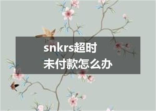 snkrs超时未付款怎么办