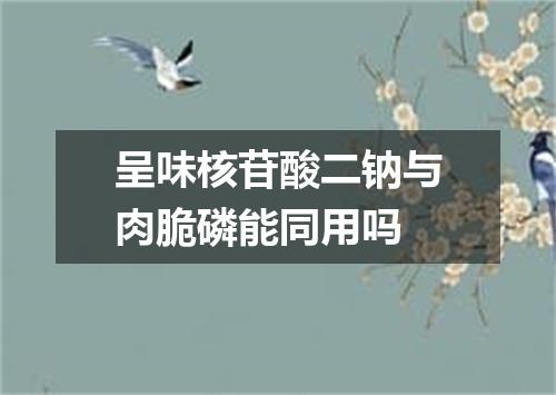 呈味核苷酸二钠与肉脆磷能同用吗